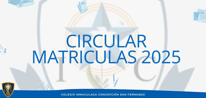 PROCESO MATRICULAS 2025